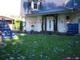 /album/srandovni-fotky-s-alkoholem/yard-full-of-empty-alcohol-jpg/